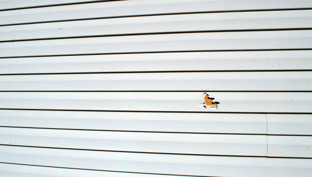 Best Aluminum Siding Installation  in Tice, FL